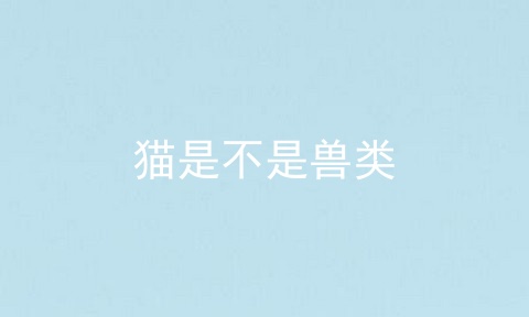 猫是不是兽类
