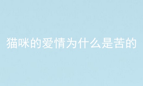 猫咪的爱情为什么是苦的