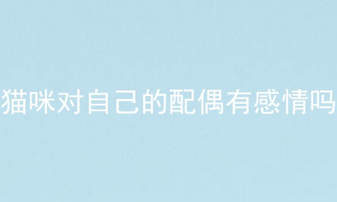 猫咪对自己的配偶有感情吗