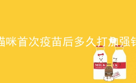 猫咪首次疫苗后多久打加强针