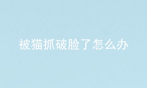被猫抓破脸了怎么办