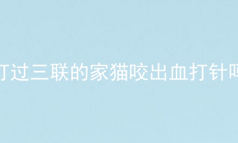 打过三联的家猫咬出血打针吗