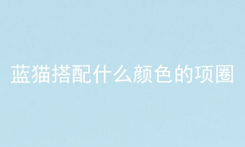 蓝猫搭配什么颜色的项圈