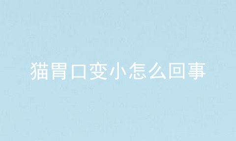 猫胃口变小怎么回事