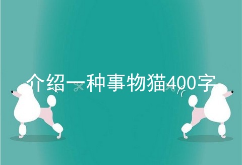 介绍一种事物猫400字