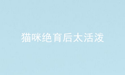 猫咪绝育后太活泼