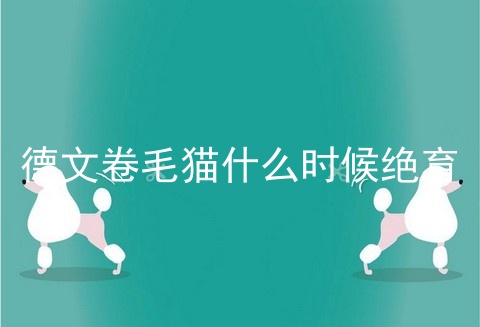 德文卷毛猫什么时候绝育