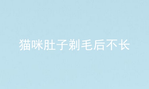 猫咪肚子剃毛后不长