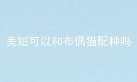 美短可以和布偶猫配种吗