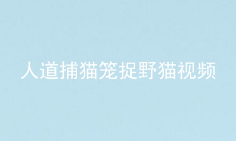 人道捕猫笼捉野猫视频
