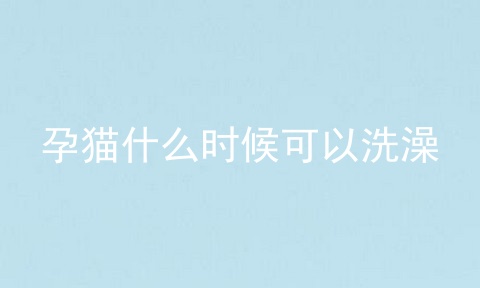孕猫什么时候可以洗澡