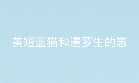 英短蓝猫和暹罗生的崽