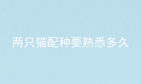 两只猫配种要熟悉多久