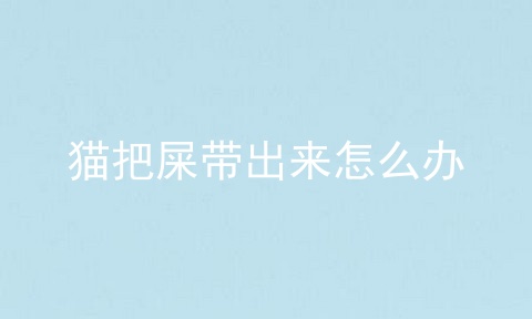 猫把屎带出来怎么办