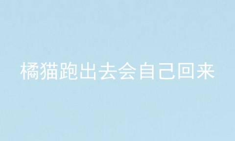 橘猫跑出去会自己回来