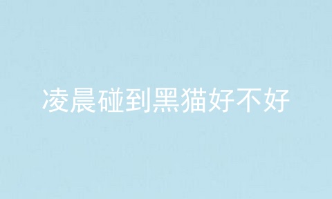 凌晨碰到黑猫好不好