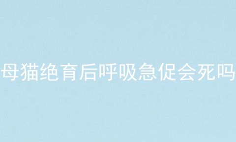 母猫绝育后呼吸急促会死吗