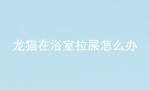 龙猫在浴室拉屎怎么办