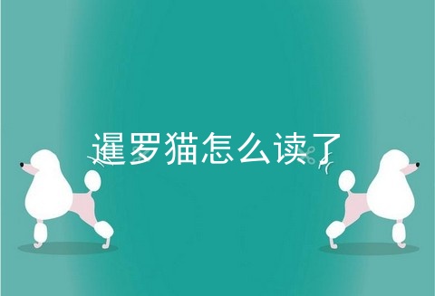 暹罗猫怎么读了