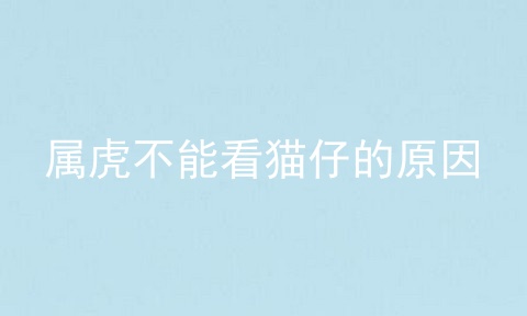 属虎不能看猫仔的原因