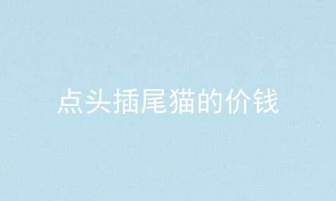 点头插尾猫的价钱