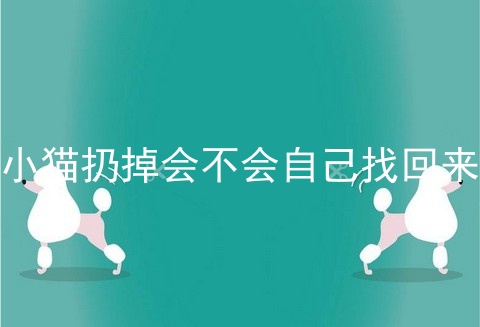 小猫扔掉会不会自己找回来