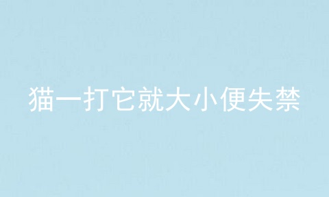 猫一打它就大小便失禁