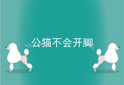 公猫不会开脚