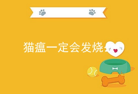 猫瘟一定会发烧么