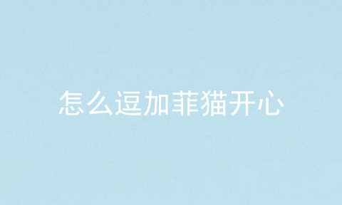 怎么逗加菲猫开心