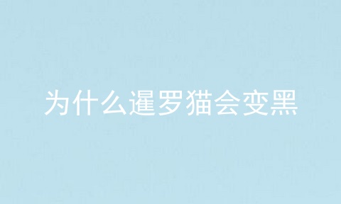 为什么暹罗猫会变黑
