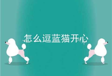 怎么逗蓝猫开心