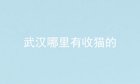 武汉哪里有收猫的