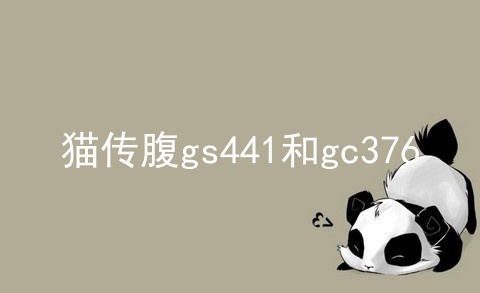 猫传腹gs441和gc376