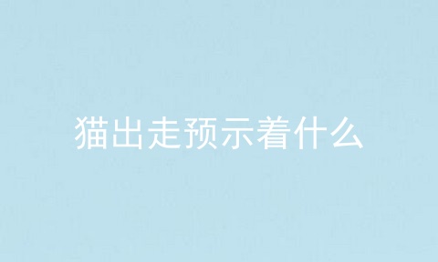 猫出走预示着什么