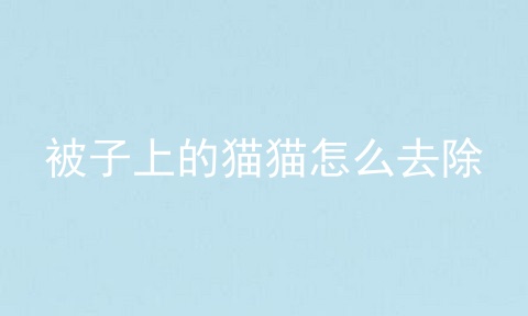 被子上的猫猫怎么去除