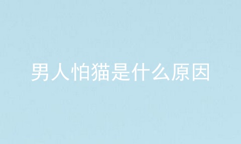 男人怕猫是什么原因