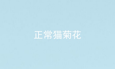 正常猫菊花