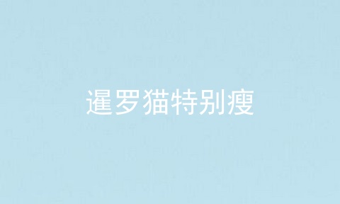 暹罗猫特别瘦