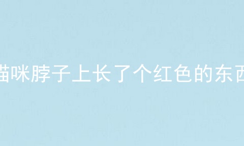 猫咪脖子上长了个红色的东西