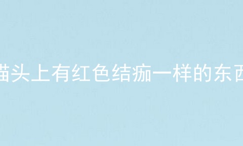 猫头上有红色结痂一样的东西