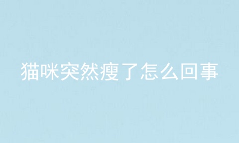 猫咪突然瘦了怎么回事