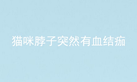 猫咪脖子突然有血结痂