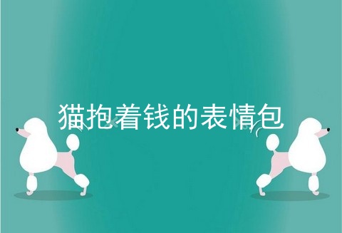 猫抱着钱的表情包