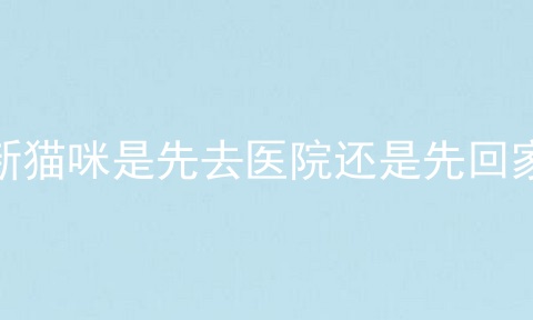 新猫咪是先去医院还是先回家