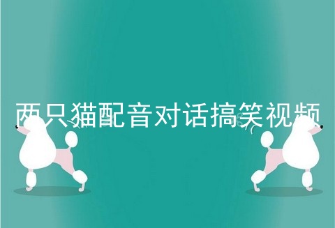 两只猫配音对话搞笑视频