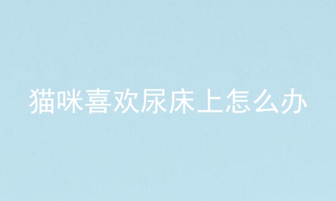 猫咪喜欢尿床上怎么办