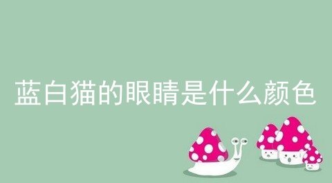 蓝白猫的眼睛是什么颜色