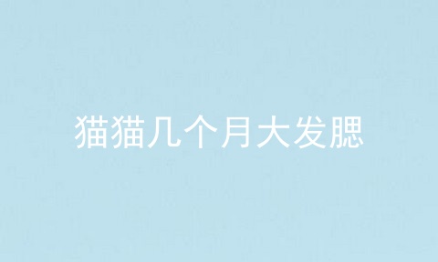 猫猫几个月大发腮