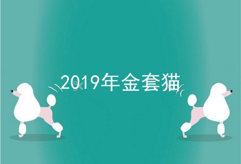 2019年金套猫